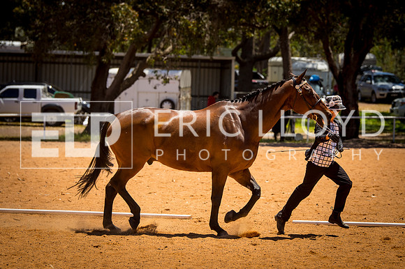 untitled-0302