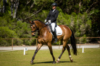 Transitions Dressage Training Day 02.12.2018