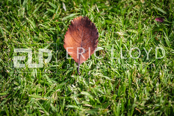 DSCF3058