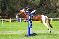IMGP3976