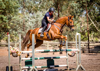 Taminga Training 03 02 2019
