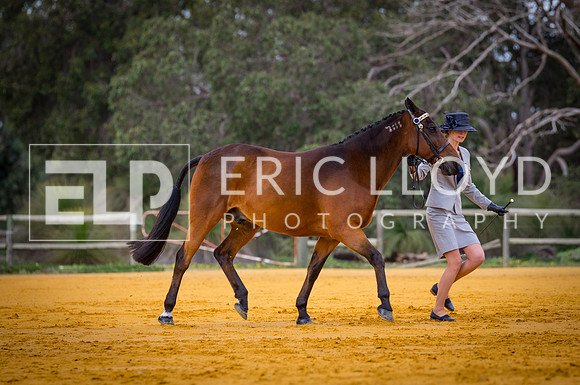 untitled-0909