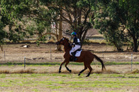 IMGP8003