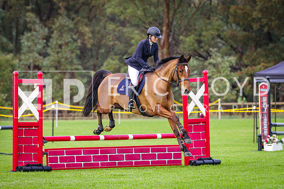 IMGP0229