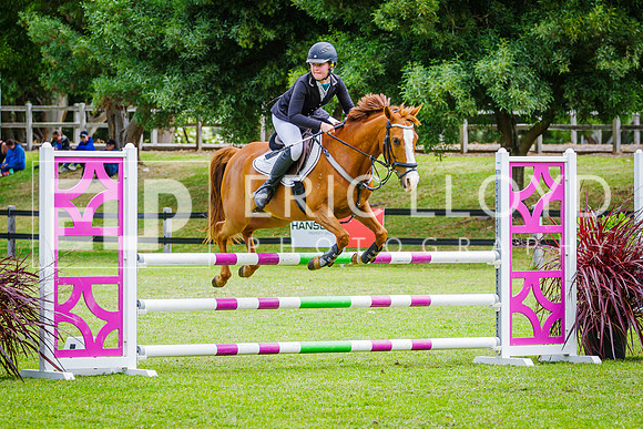 IMGP2258