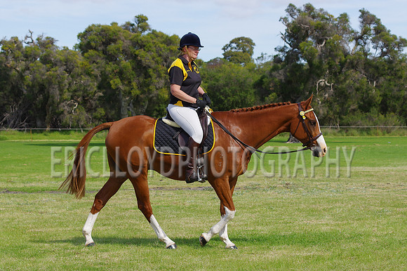 ARCA WH 2014-6577