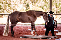 Trail & Lunge-line