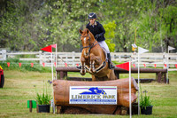 Classes 1 & 2 Future Sport Horses and Horseland Midland Young Event Horses 4 & 5yr olds