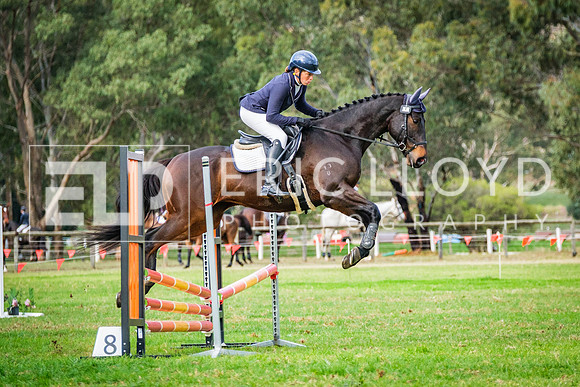 DSCF9484