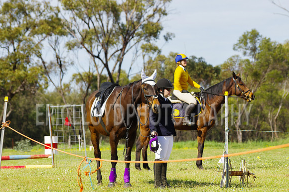Bev Ag 2014-5141