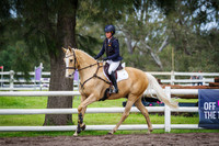 Class 3 & 4  Future Sport Horses and Horseland Midland Young Event Horse 6 & 7 Years