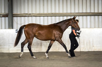 untitled-9286
