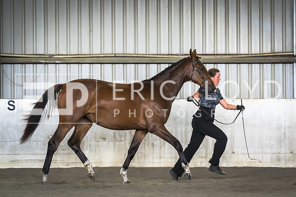 untitled-9328