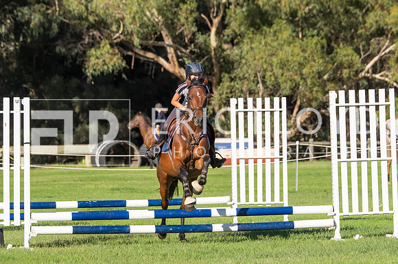 untitled-8607