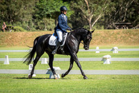 Grass Arenas