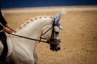Indoor Arena