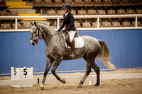 CC1 Star Junior Dressage