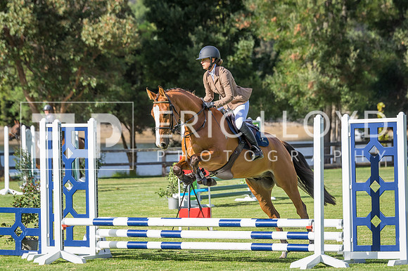 ERIC6397