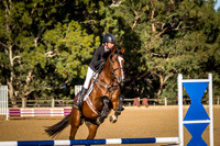 Horseland Midland 60cm