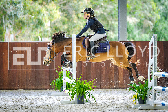 IMGP5982