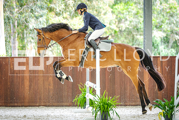 IMGP5996