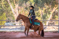 Class 2 JK Legal and 2A Riviera Horse Floats