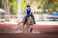 Class 3 Curulli Meadow Hay Snaffle Hackamore
