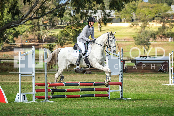 DSCF8263