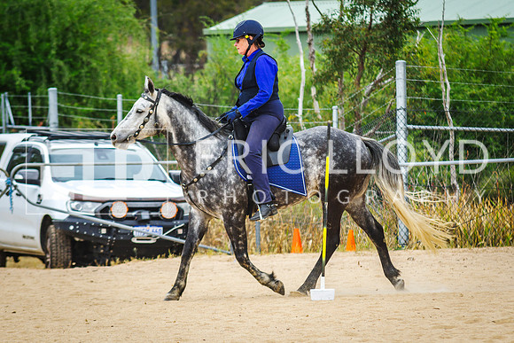 IMGP3255