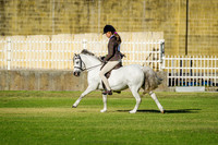 IMGP0540
