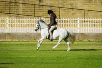 IMGP0543