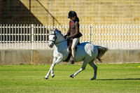 IMGP0548