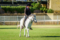 IMGP0553