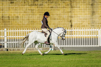 IMGP0557