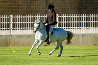 IMGP0568