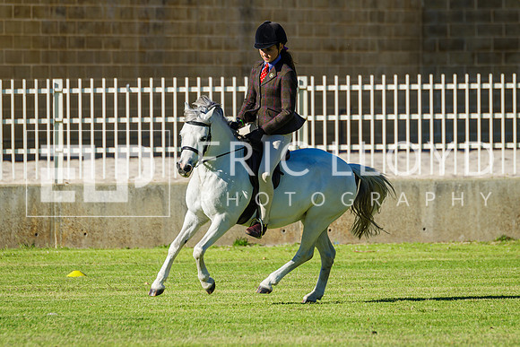 IMGP0568