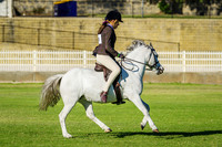 IMGP0573