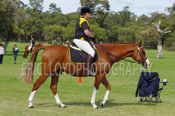 ARCA WH 2014-6570
