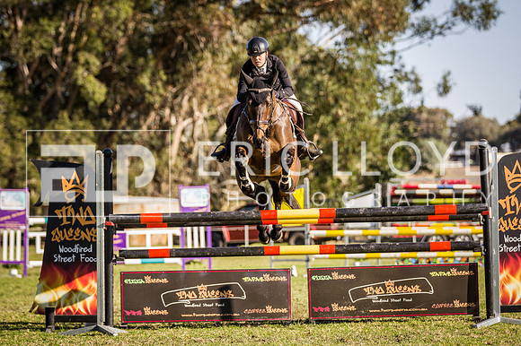 BRIG1766