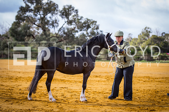 untitled-9585