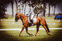 Dressage