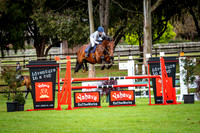 IMGP7990