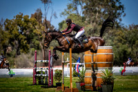 7. Evolution Animal Care Horse of the Year