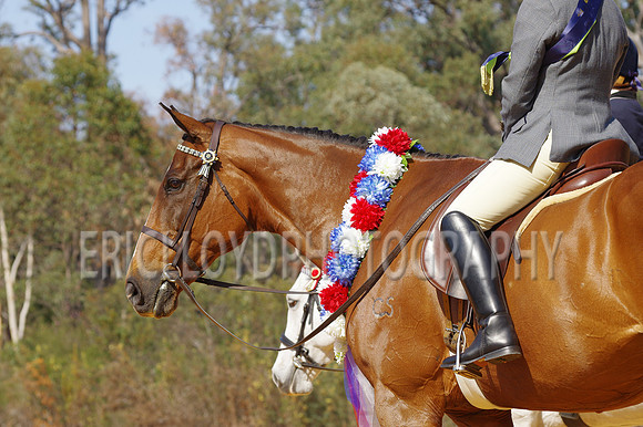 Wooroloo-5982