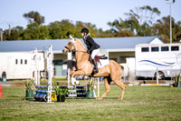 GCEC137