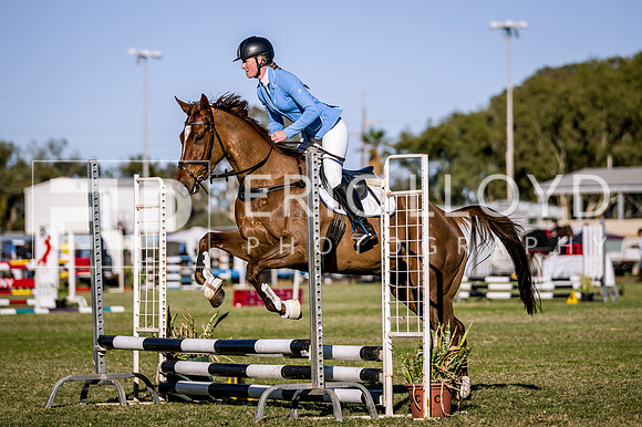 GCEC169