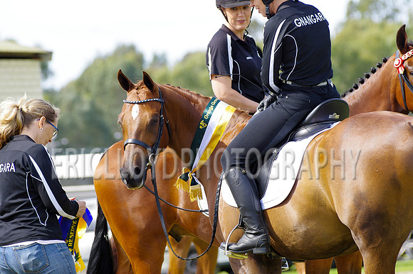ARCA WH 2014-6630