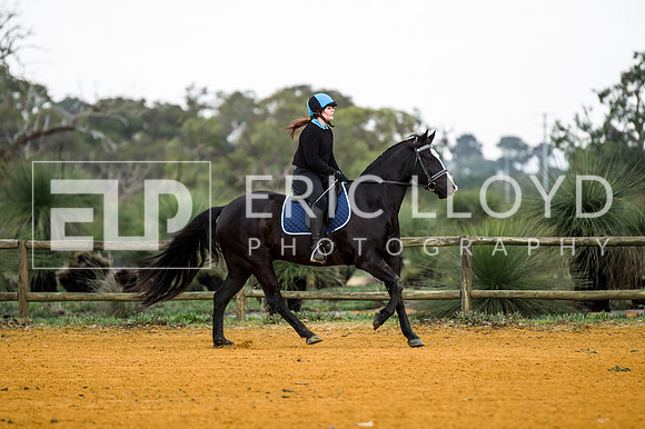 ARCAFW20