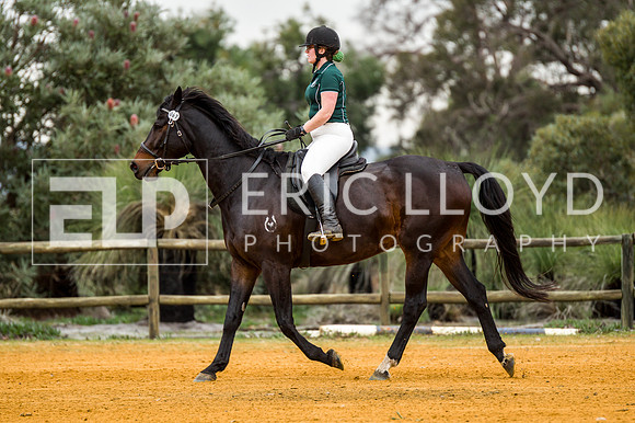 ARCAFW42