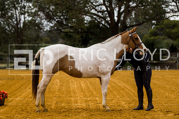 ARCAFW74